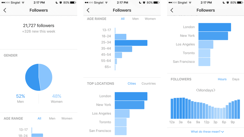 A Definitive Guide to Instagram Analytics And How it Works