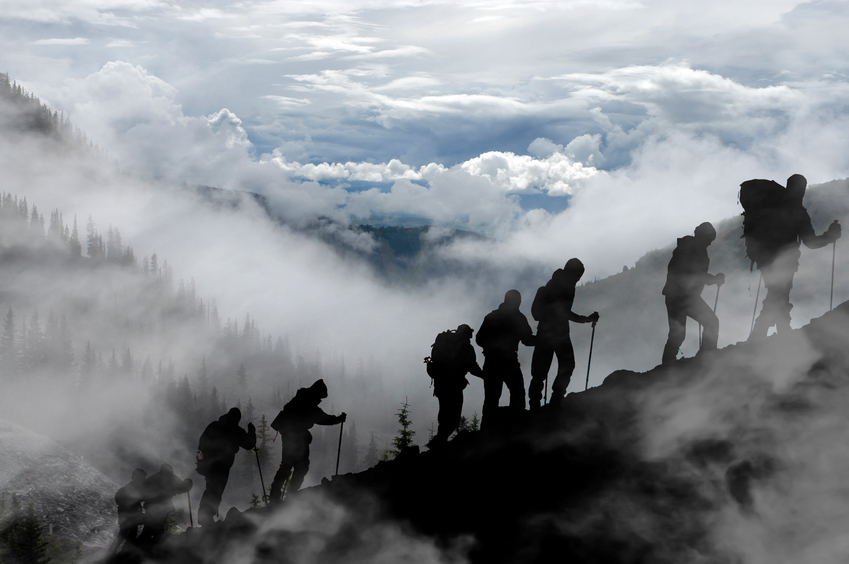 climb to the top of the competition