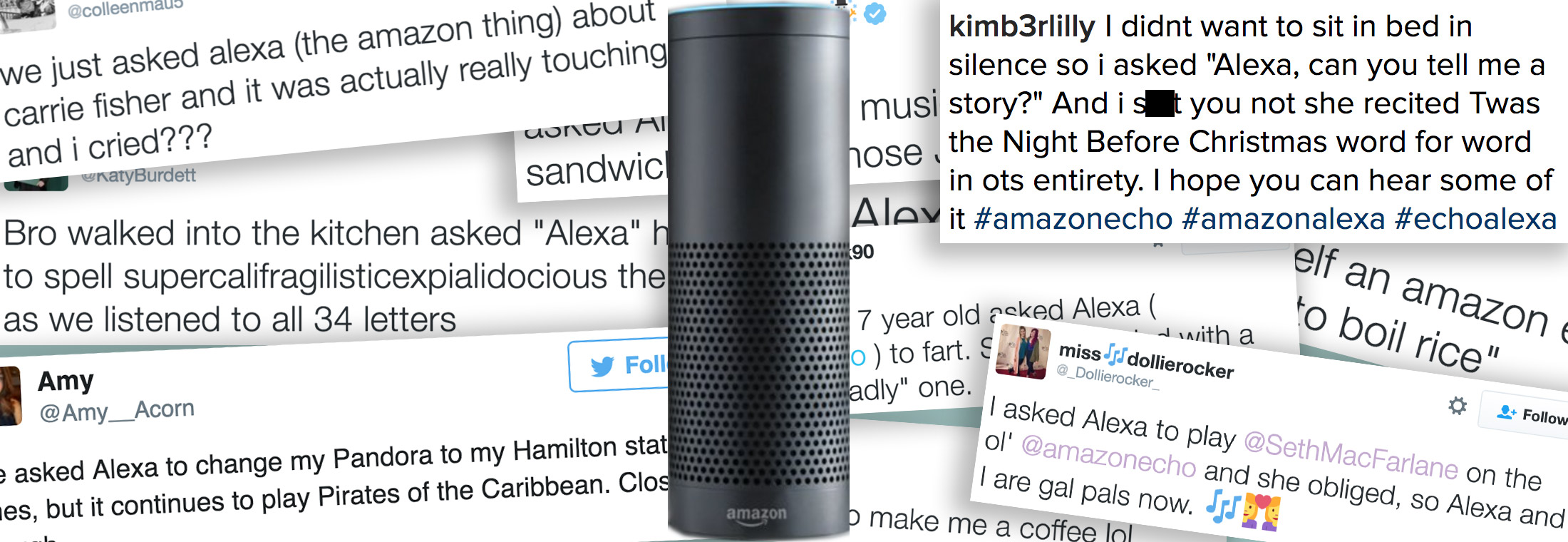 Valg vision Lejlighedsvis The Most Anarchic Questions to Ask Alexa From Hundreds of Owners |  Brandwatch