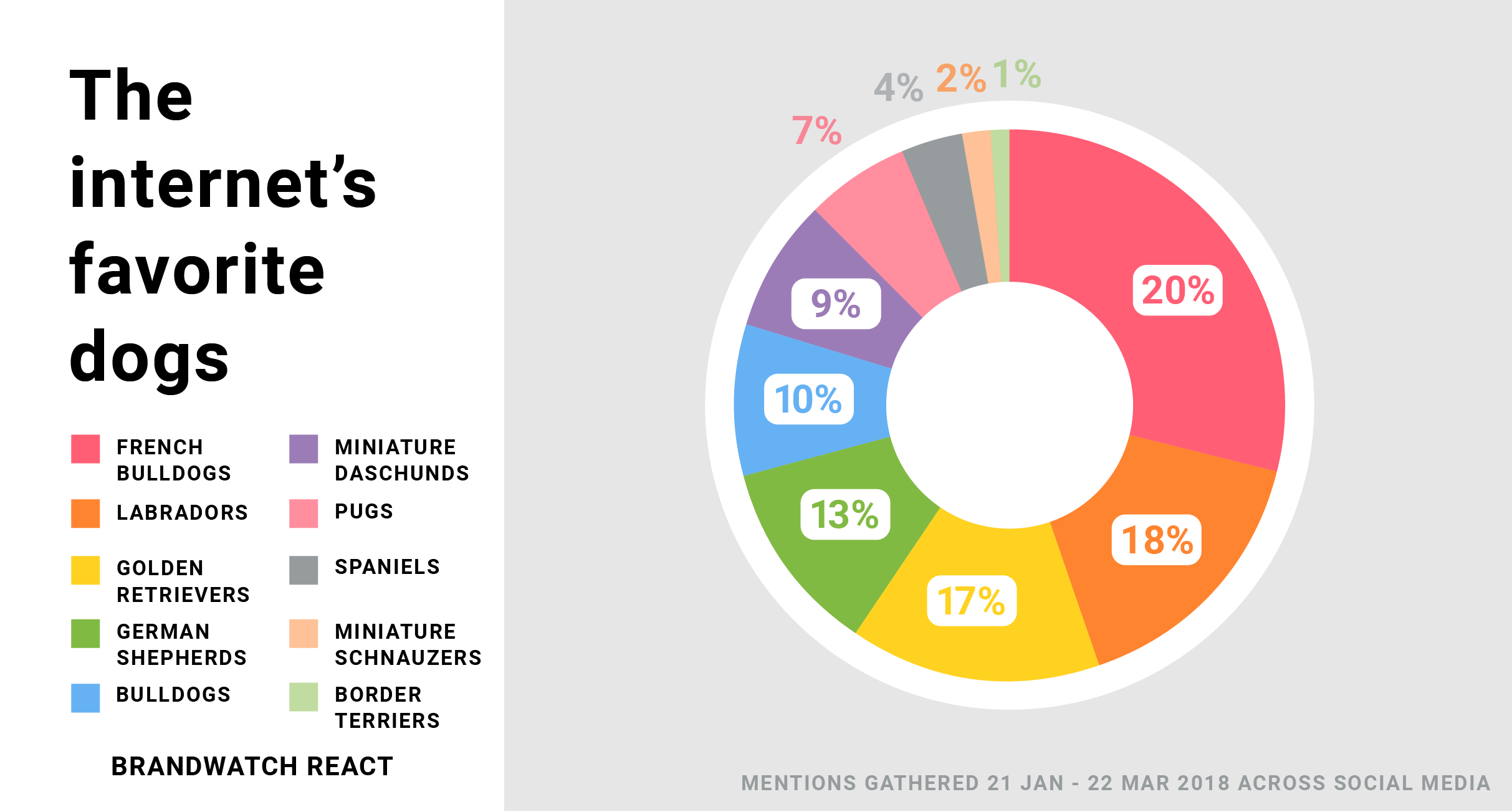 A pie chart shows the internet's favorite dogs according to our data. French Bulldogs are top followed by labradors, golden retrievers, german shepherds and bulldogs.