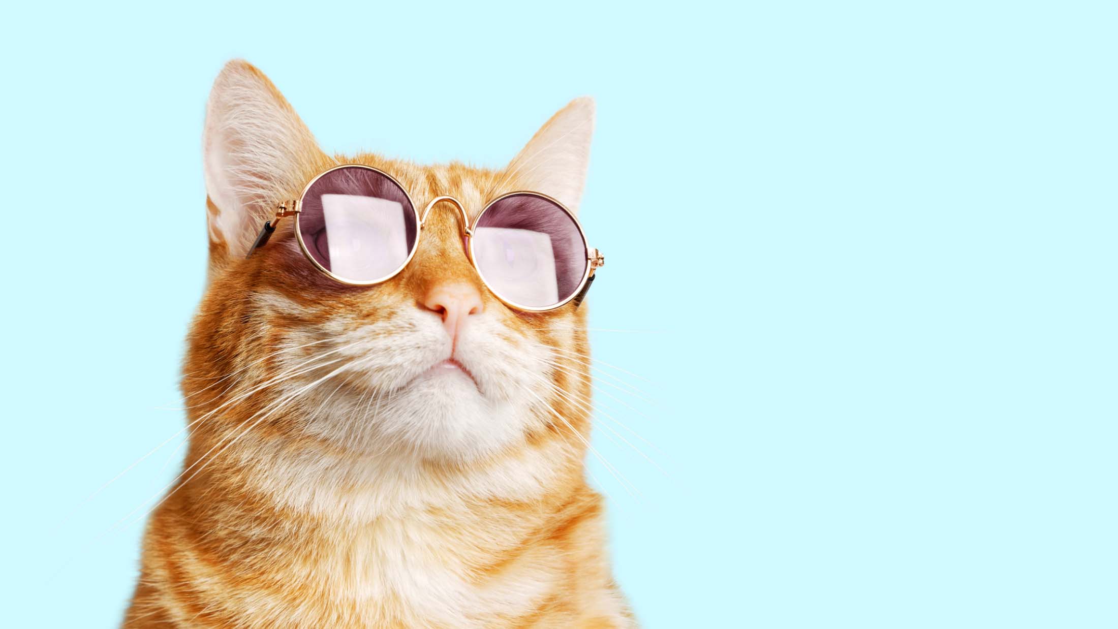 17 Social Media Holidays to Celebrate This August