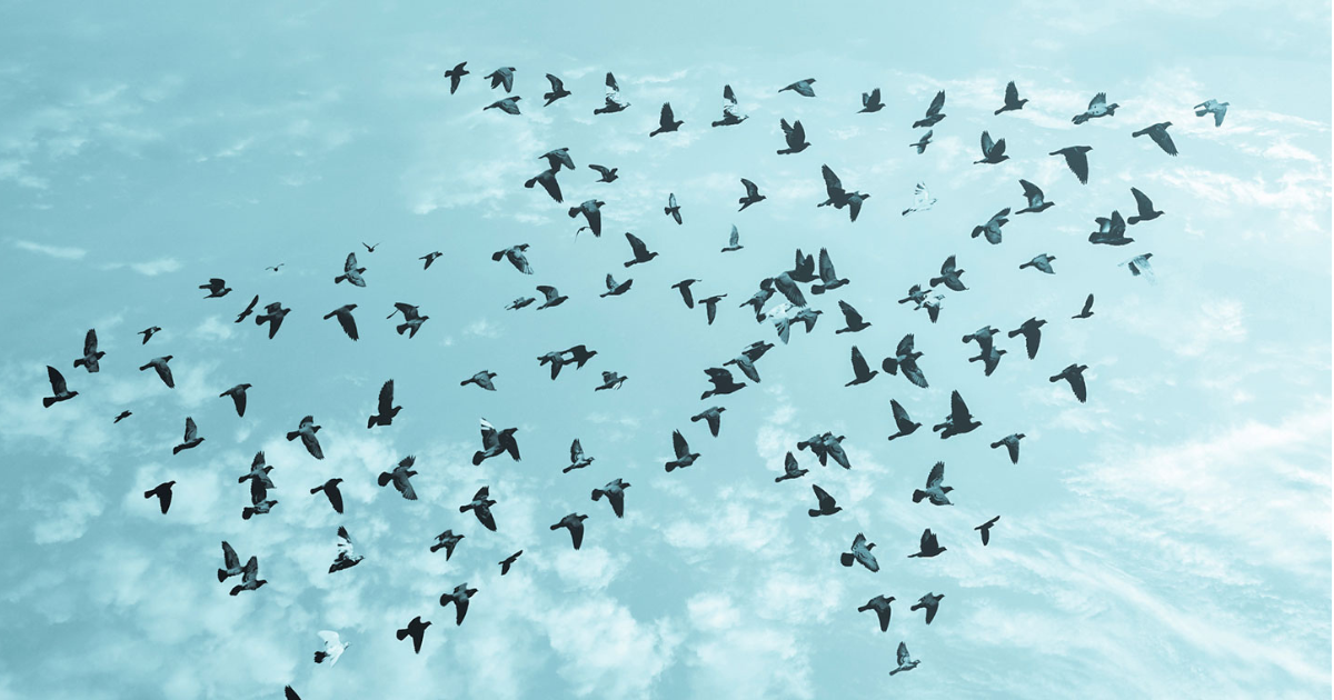 The Top 15 Social Media Management Tools