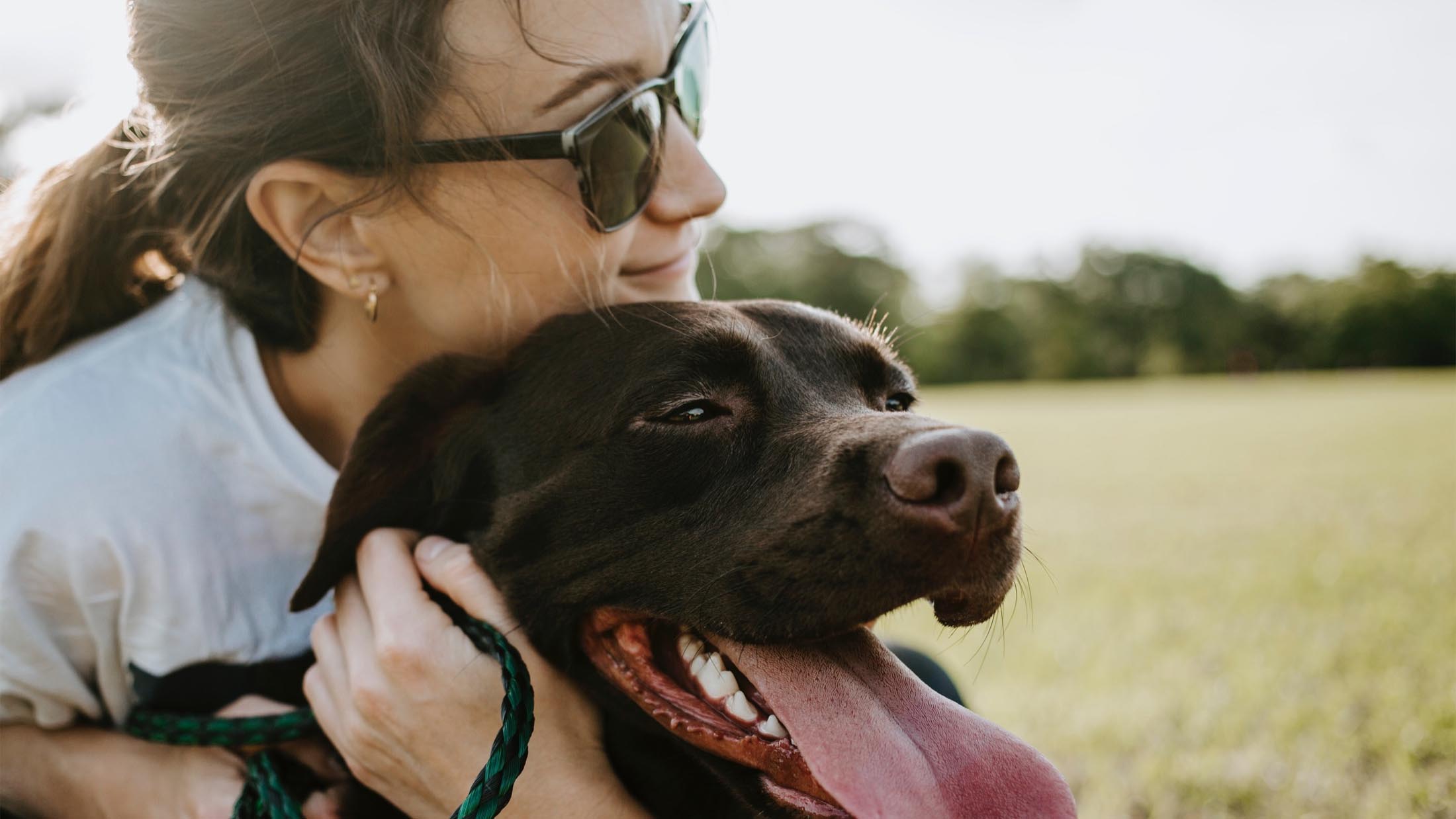 15 Pawsitively Influential Pet Influencers