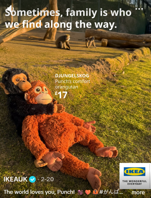 Ikea TikTok Campaign
